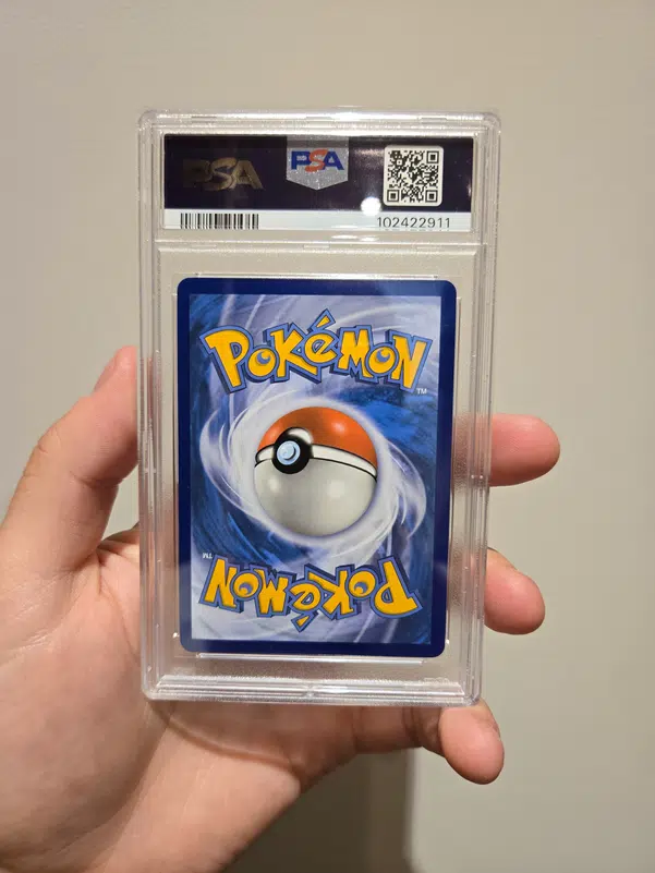 ImageUpload|10850712