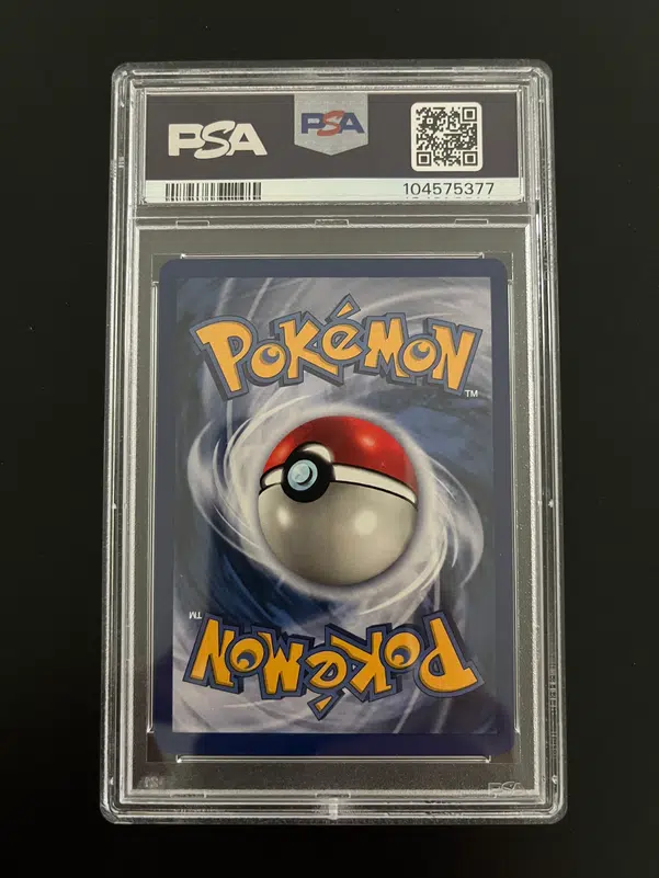 ImageUpload|13356203