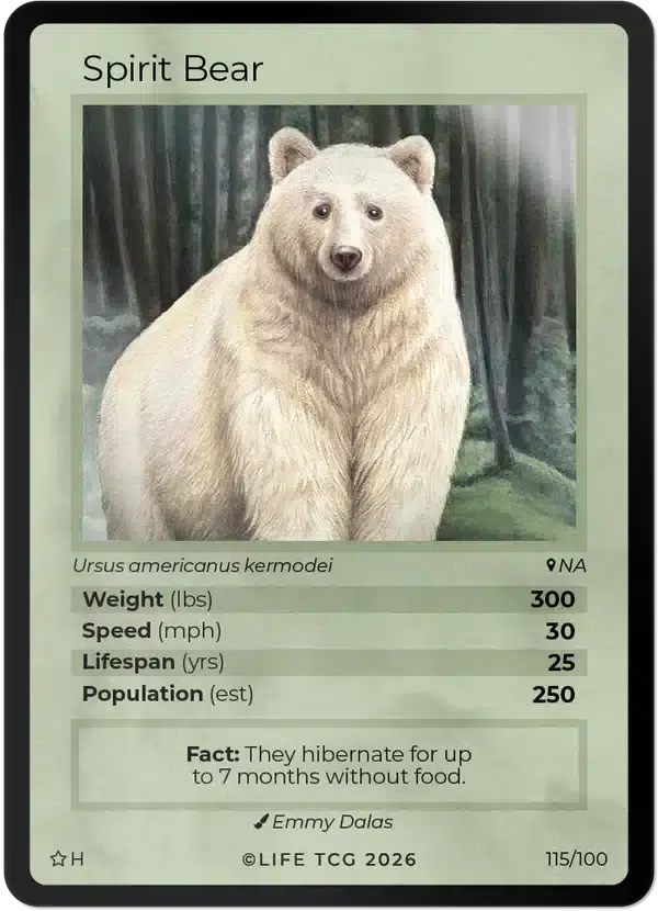 ImageUpload|15808303