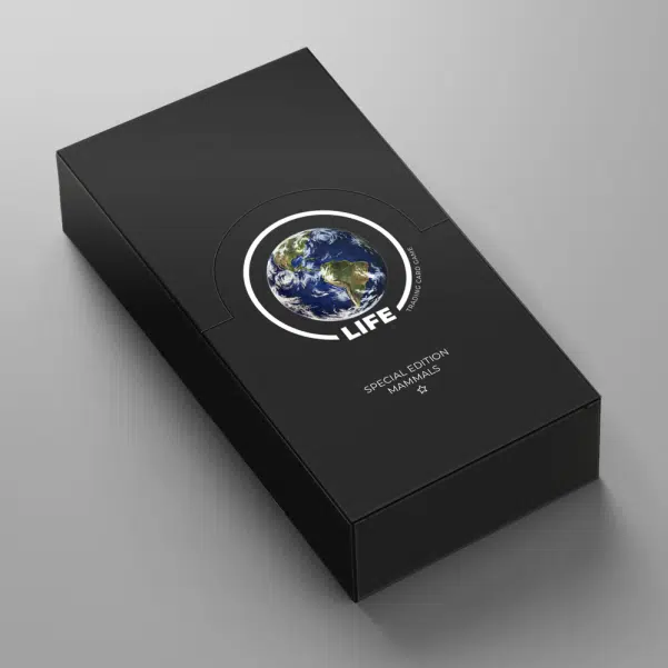 ImageUpload|15808302