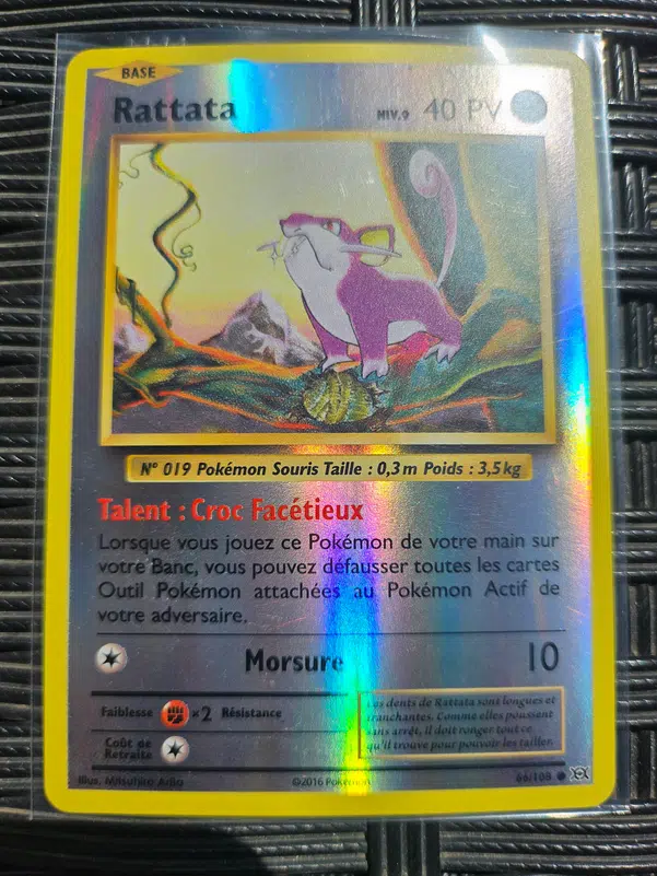 ImageUpload|10987026