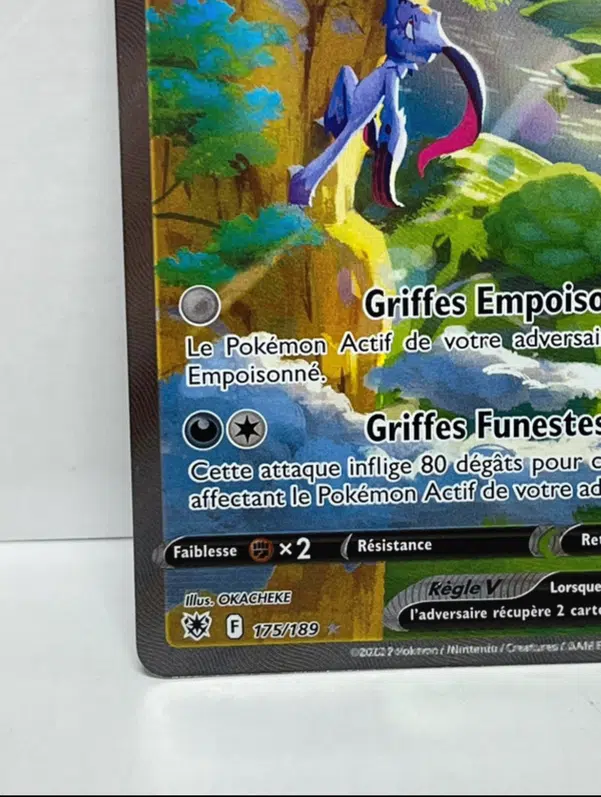 ImageUpload|10594146