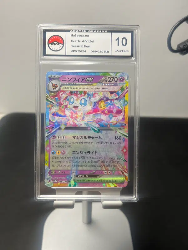 ImageUpload|10197684