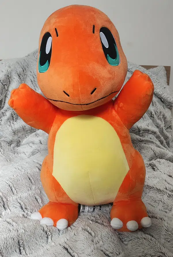 ImageUpload|10916469