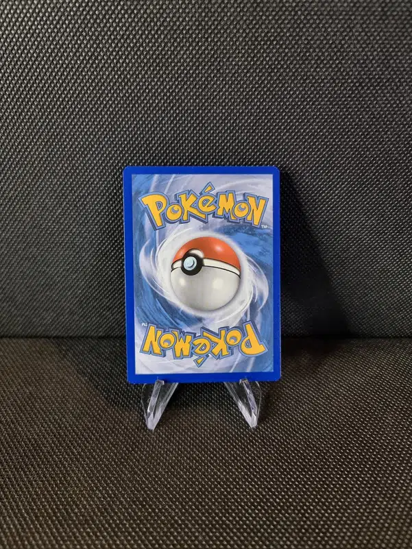 ImageUpload|11283376