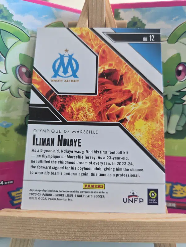 ImageUpload|10317631