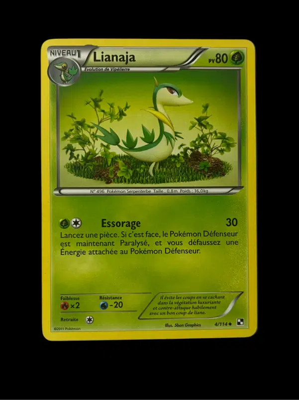 ImageUpload|14074117