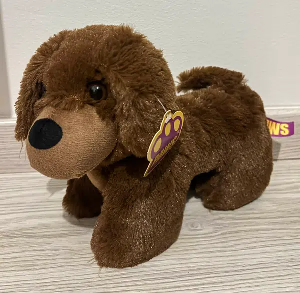 ImageUpload|13854353