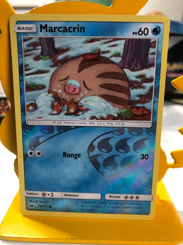 ImageUpload|11323135