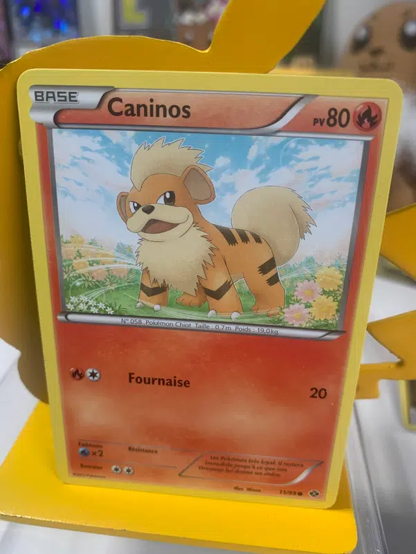 ImageUpload|10192069