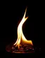 ImageUpload|17489071