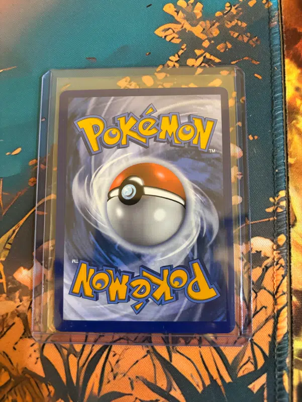 ImageUpload|14746565