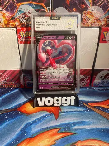 https://cdn.production.voggt.io/products/aa057836-367b-4f75-b8d3-07bcbd4ccc3c.jpeg/350/product.webp