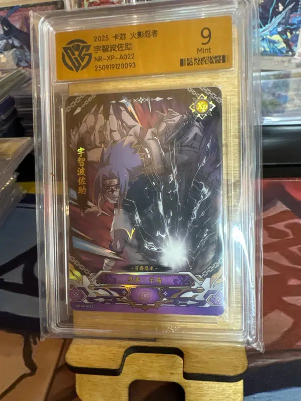 ImageUpload|13619768