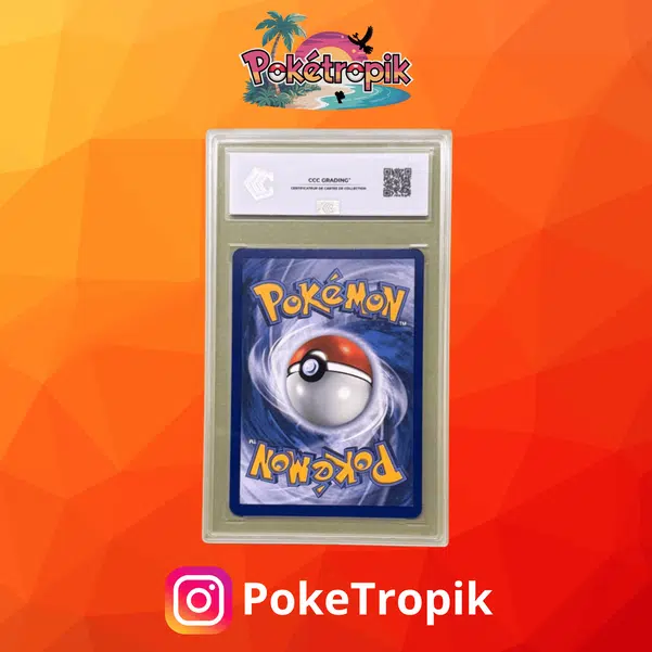 ImageUpload|13503383