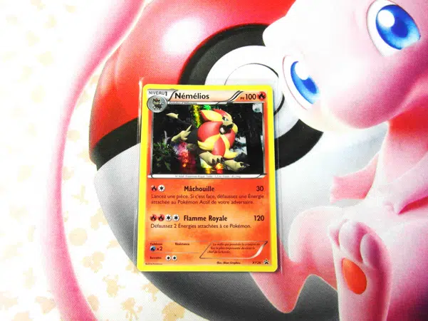 ImageUpload|11550778