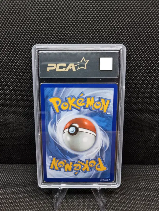 ImageUpload|11283806