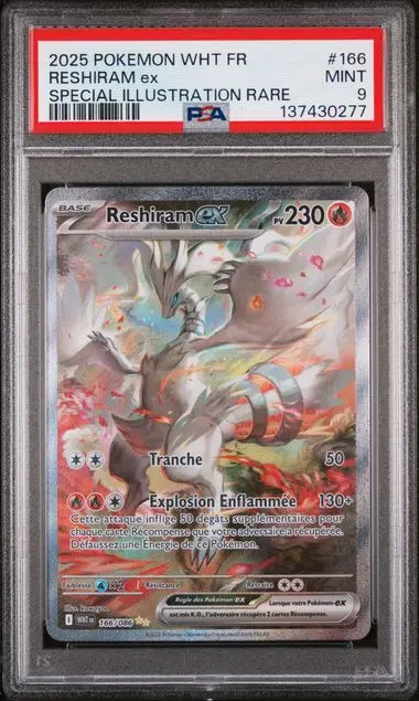 ImageUpload|14762181