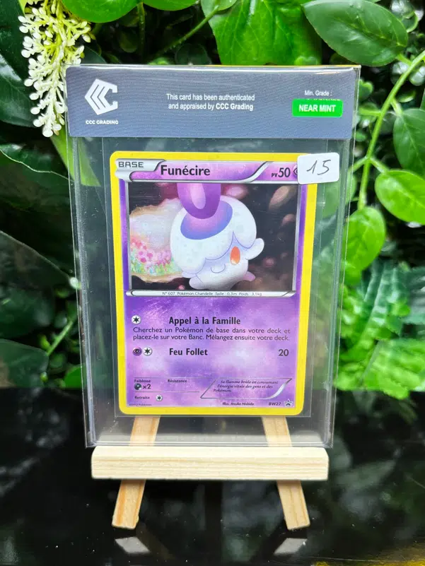 ImageUpload|13352006