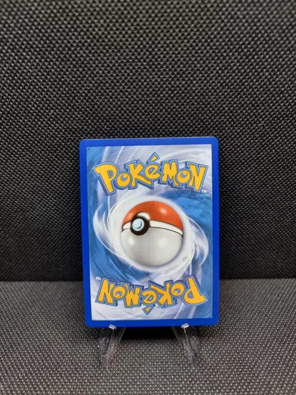 ImageUpload|11283086