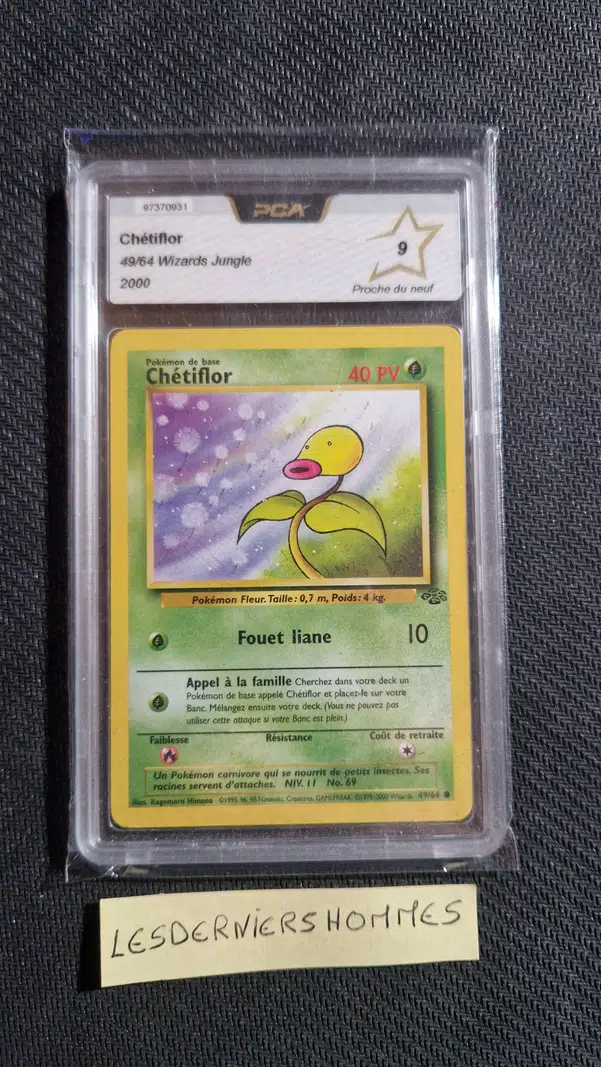 ImageUpload|13229809