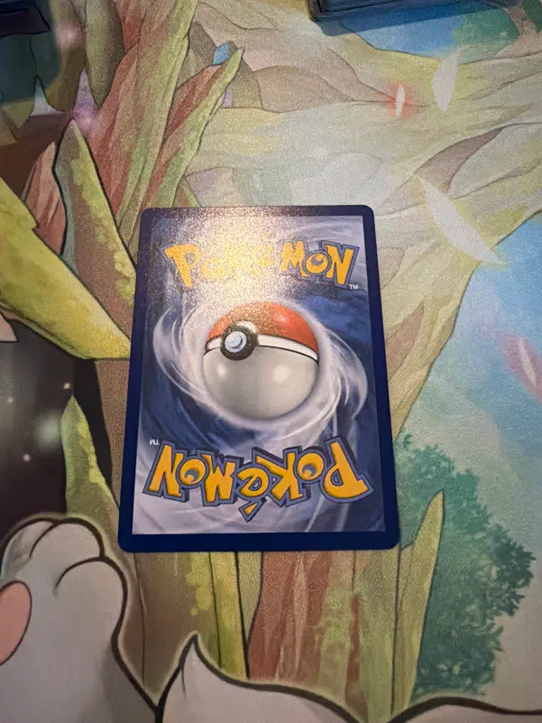 ImageUpload|14304874