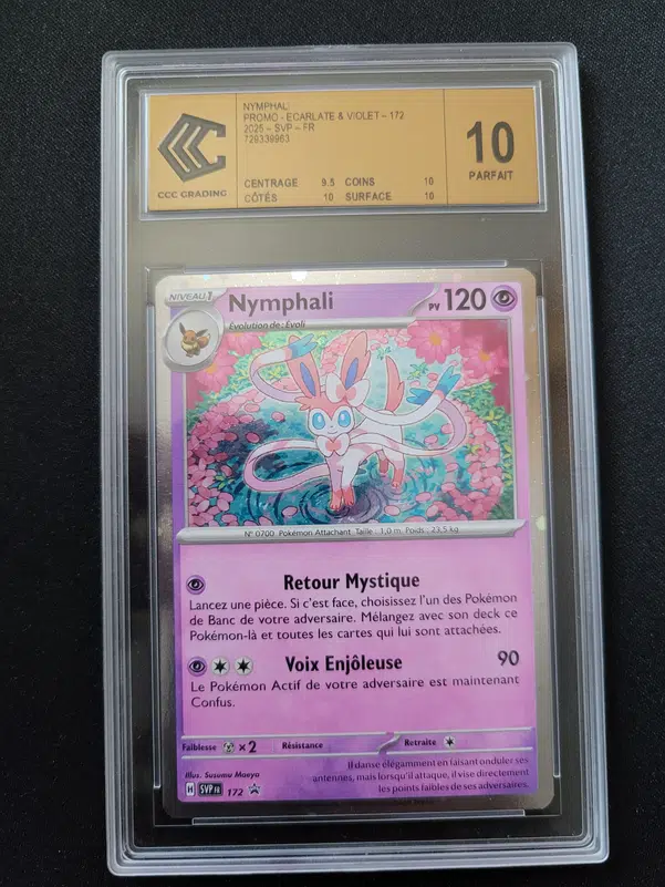 ImageUpload|11307893