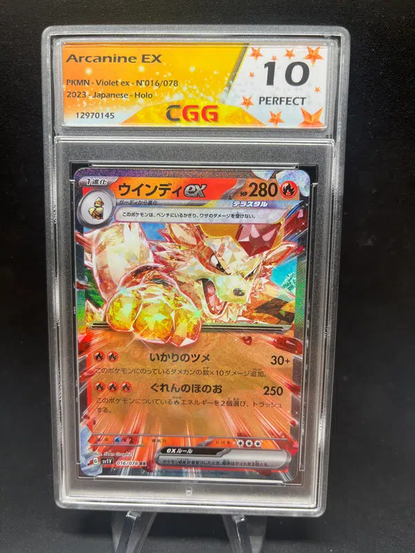 ImageUpload|13315303