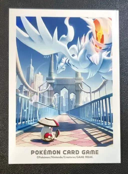 ImageUpload|13306025