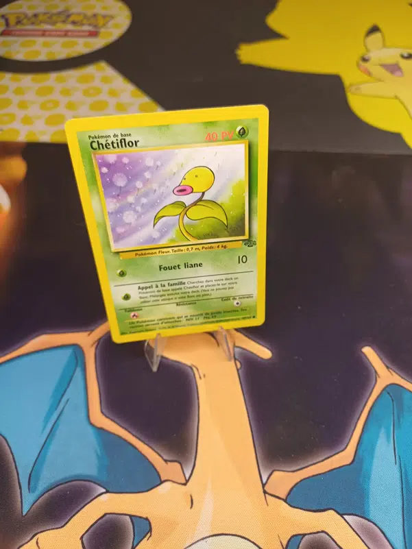 ImageUpload|12236624