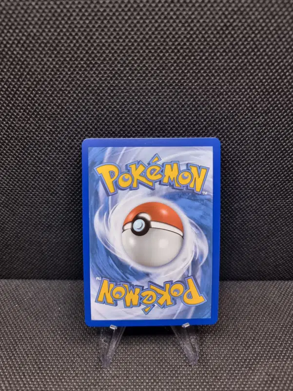 ImageUpload|11283862