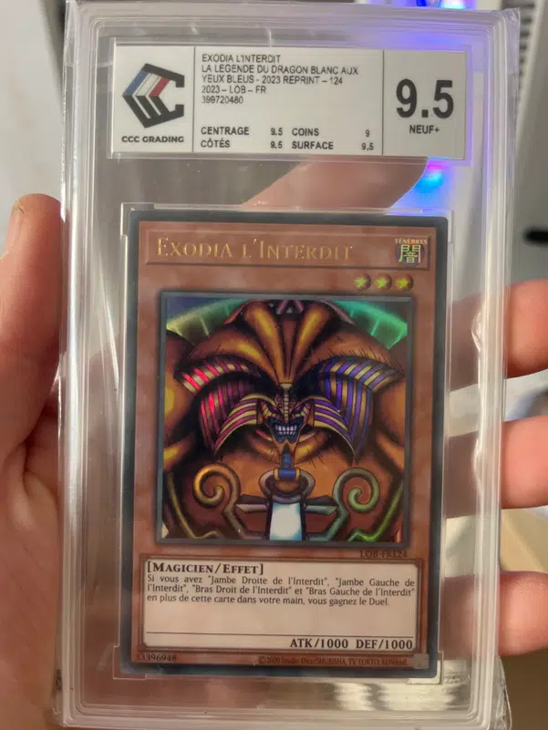 ImageUpload|10897039