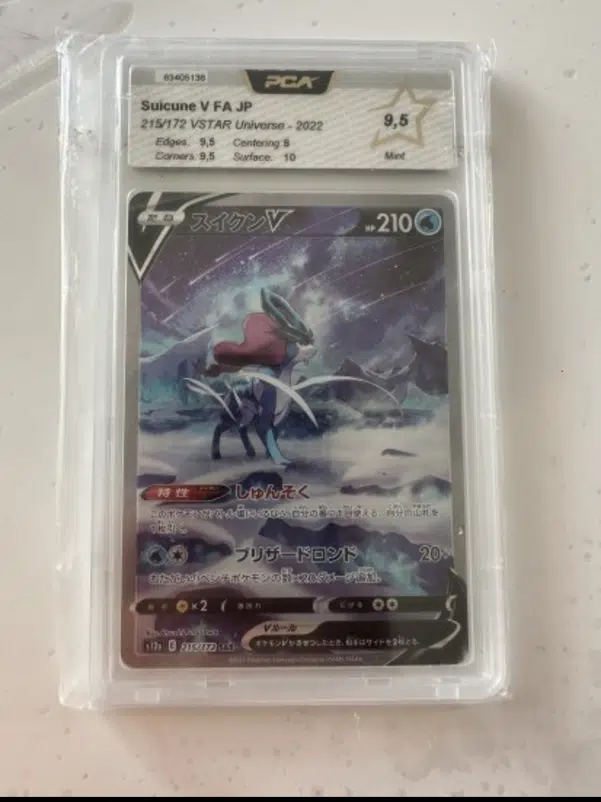 ImageUpload|13196589