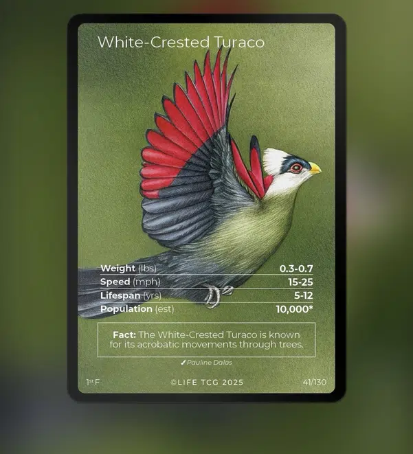 ImageUpload|12642973