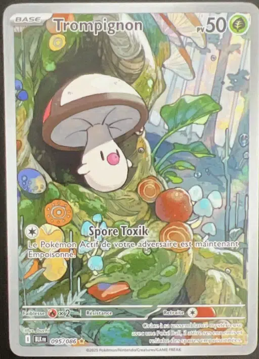 ImageUpload|12948046