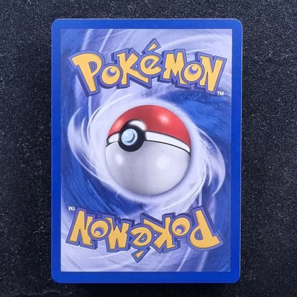 ImageUpload|11282484