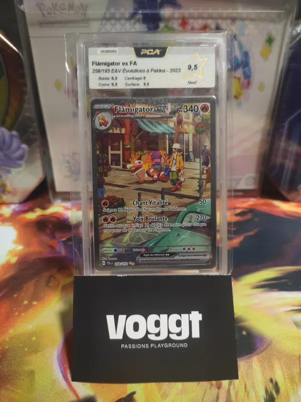 ImageUpload|12946221