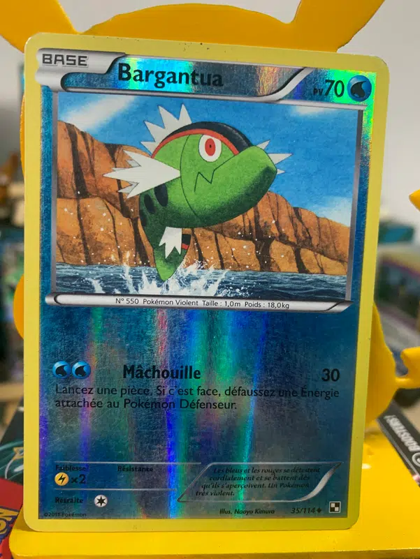 ImageUpload|10991976