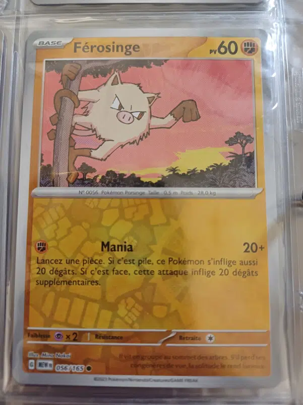 ImageUpload|12236483