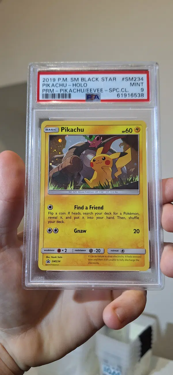 ImageUpload|10070687