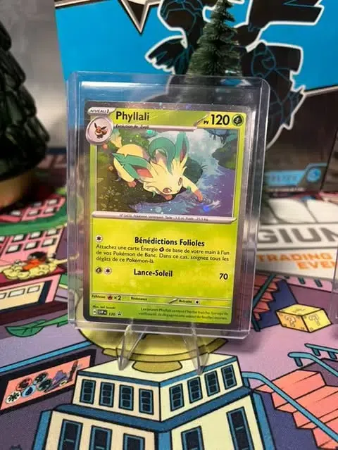 ImageUpload|13621695