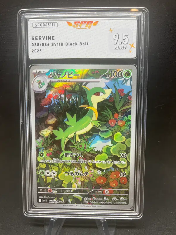 ImageUpload|13135025