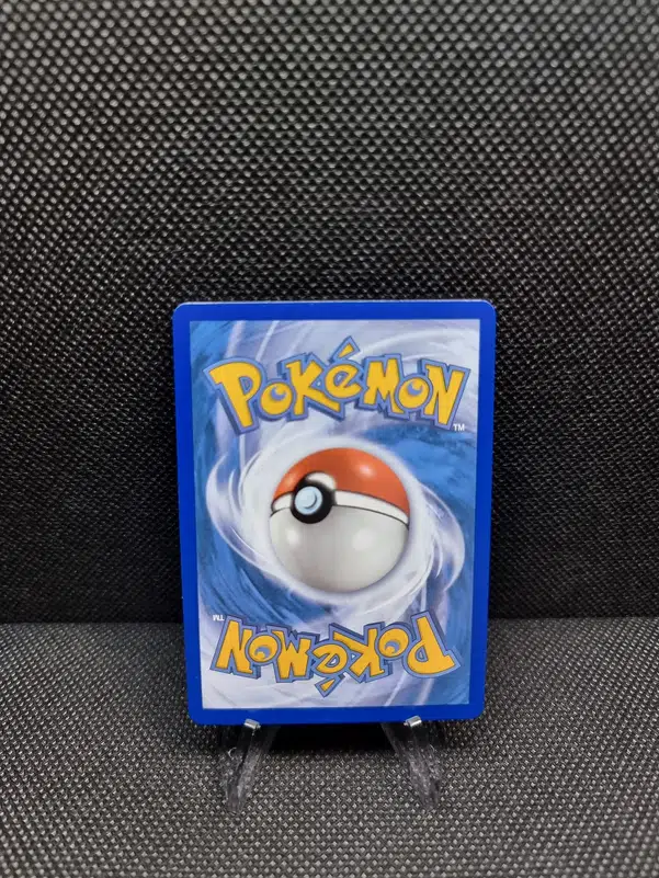 ImageUpload|11283204