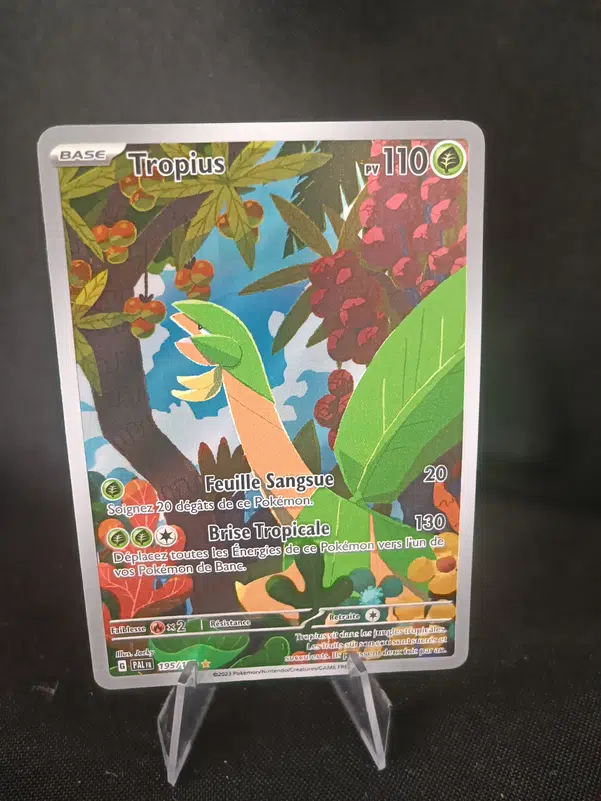 ImageUpload|10963687