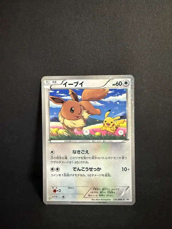 ImageUpload|12986307