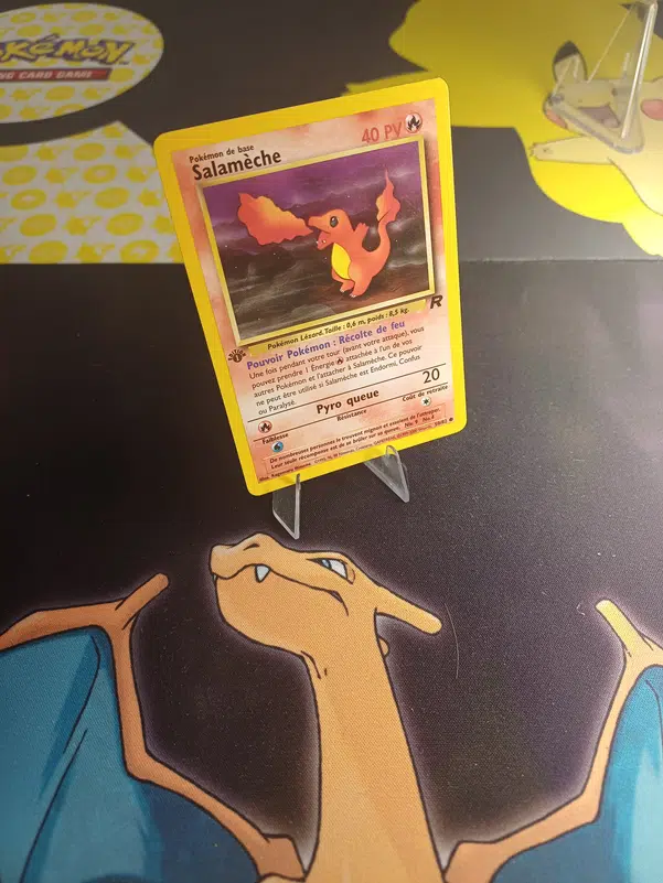 ImageUpload|10978970