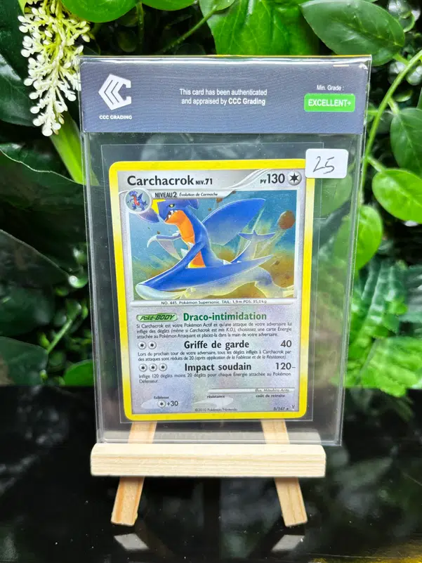 ImageUpload|13351993