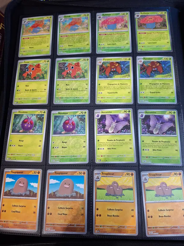 ImageUpload|13385707