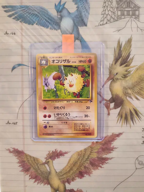 ImageUpload|13591261