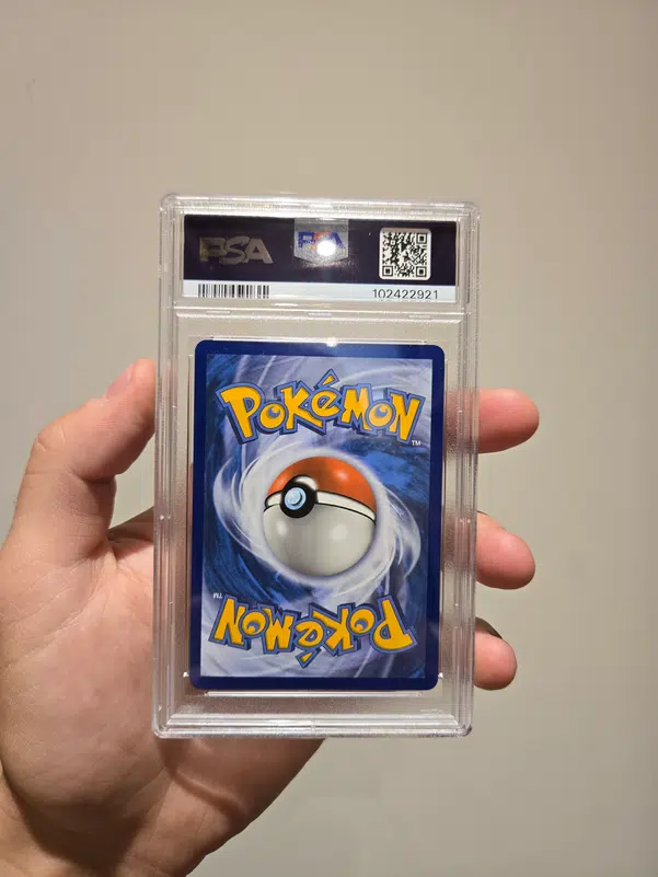 ImageUpload|10850705